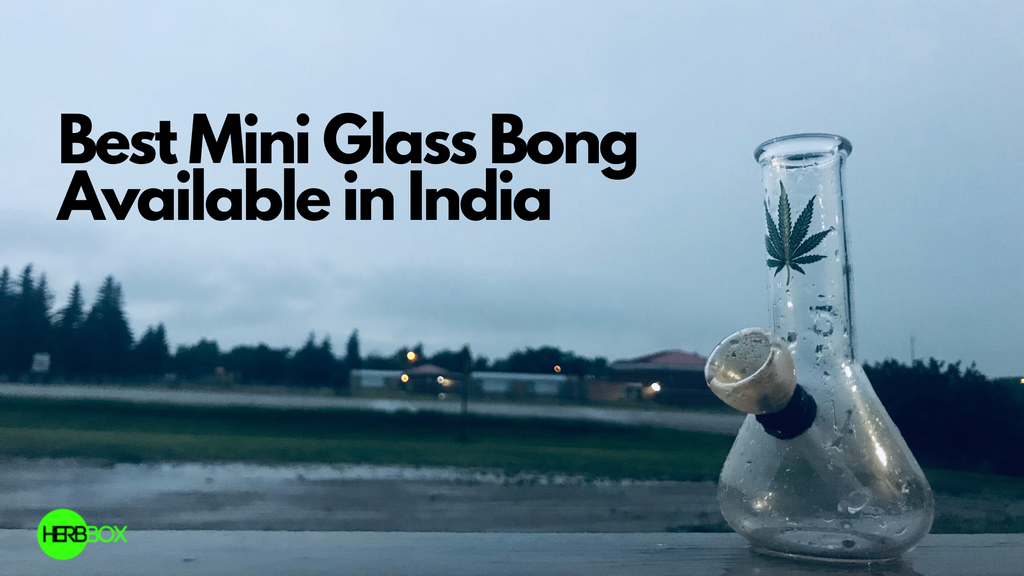 Best Mini Glass Bong You Can Buy in India.