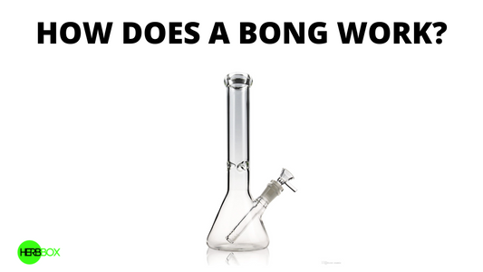 How Does A Bong Work?