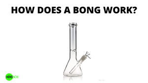 How Does a Bong Work?