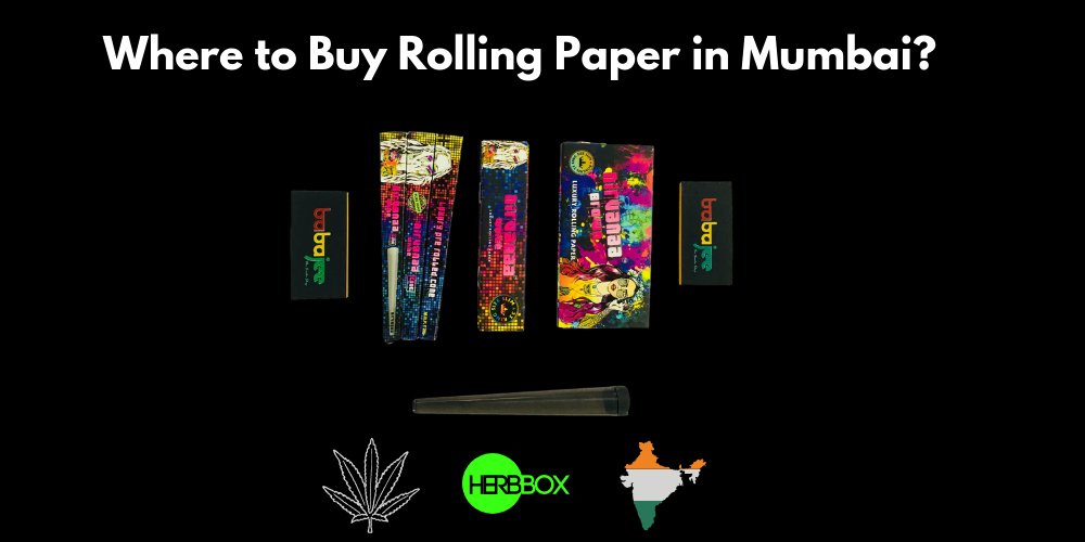 Where to Buy Rolling Papers in Mumbai?