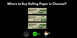 Where to Buy Rolling Papers in Chennai?