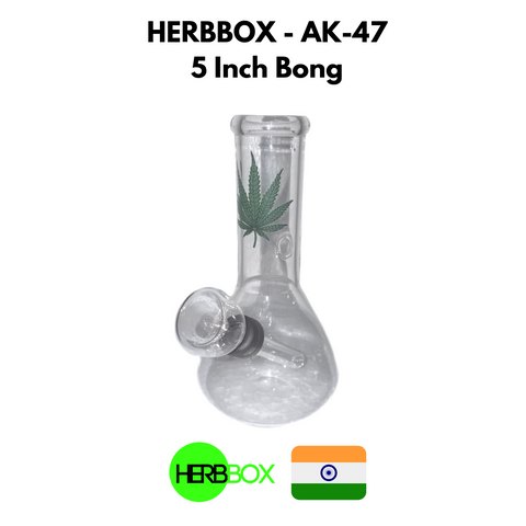 HERBBOX Mini Glass Bong Online in India